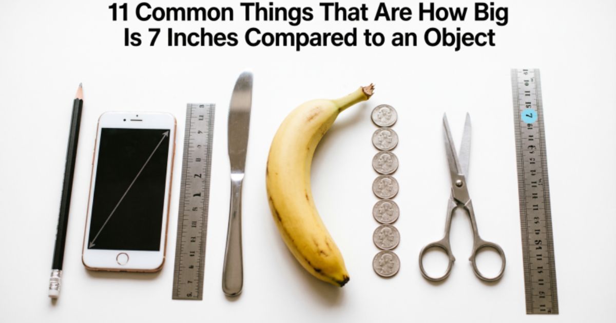 11 Common Things That Are how big is 7 inches compared to an object