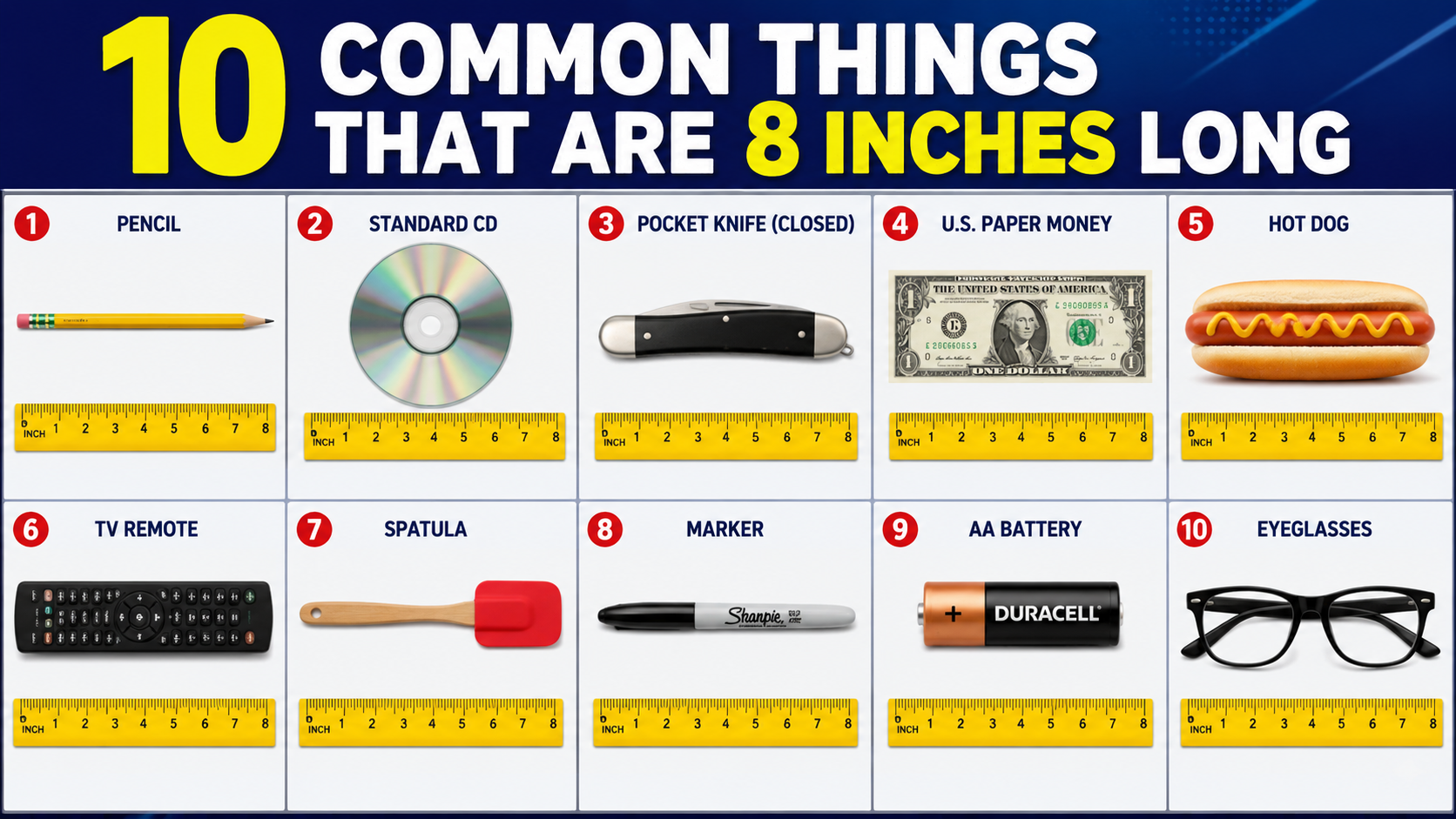 10 Common Things That Are 8 Inches Long