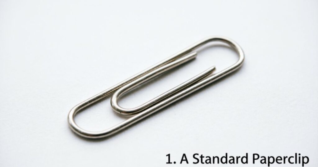 1. A Standard Paperclip