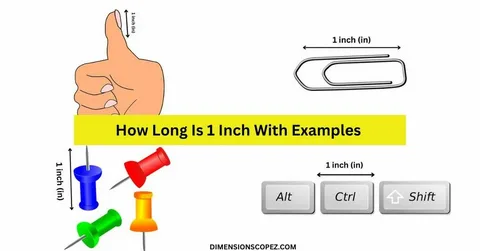 A STANDARD PAPERCLIP