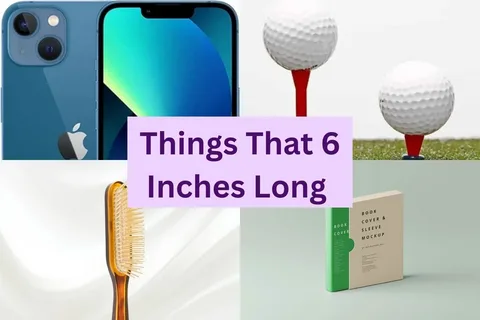 15 Common Things That Are 6 Inches Long